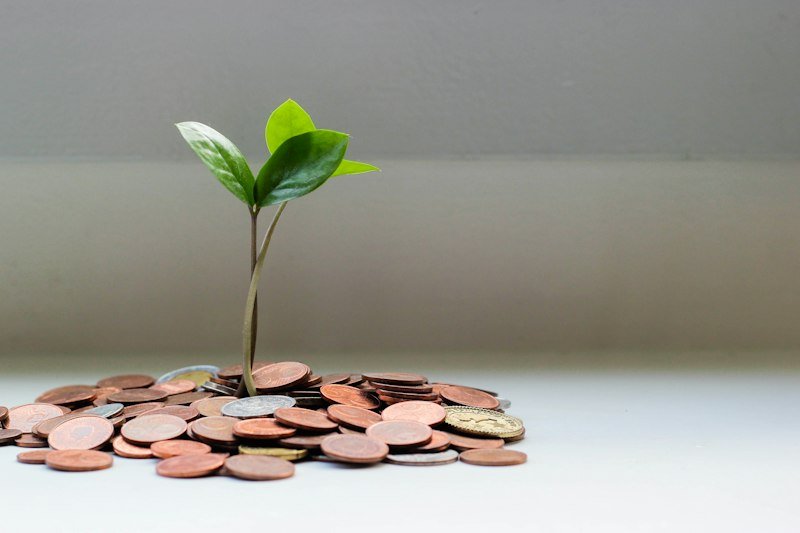 Emergency Fund 101: How Much to Keep & Exactly Where to Park It